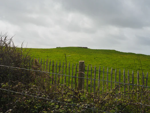 Cran de Quette, Cap Gris-Nez (Frankrijk)